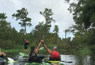 bayou kayak tours